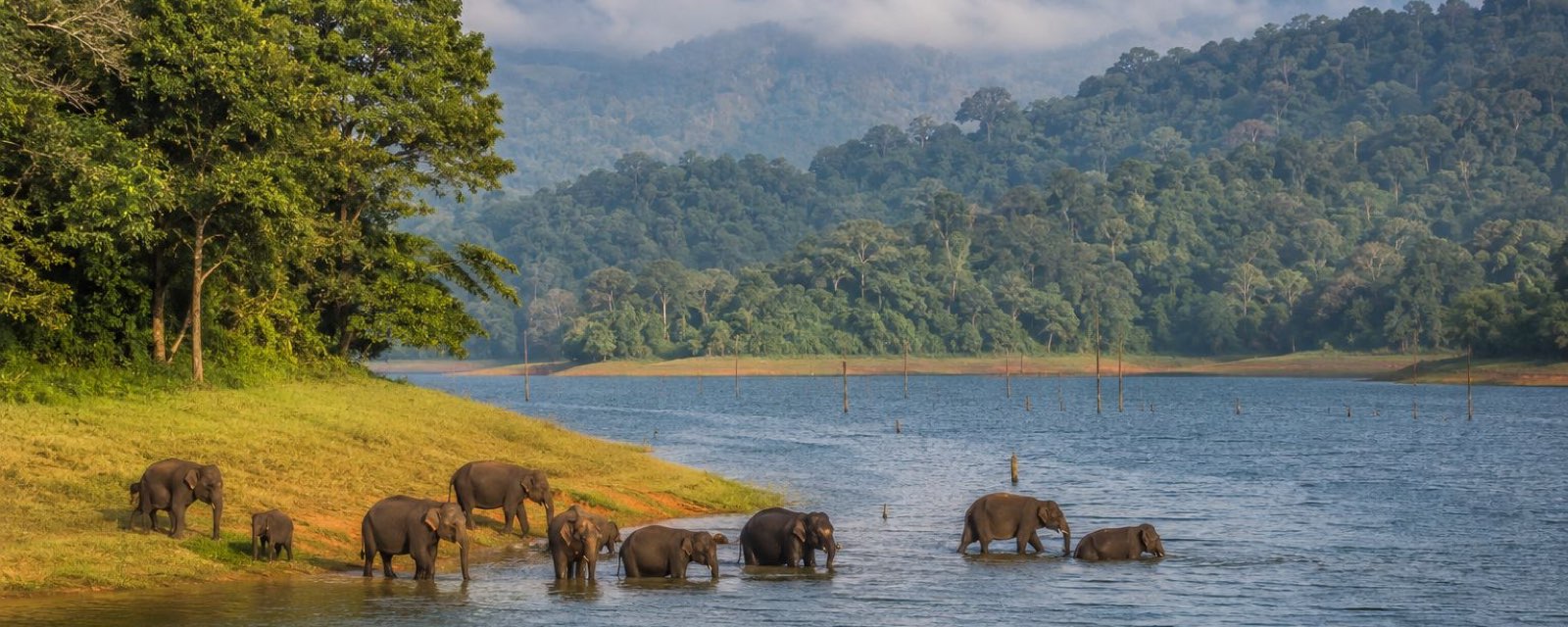 Periyar (Thekkady)