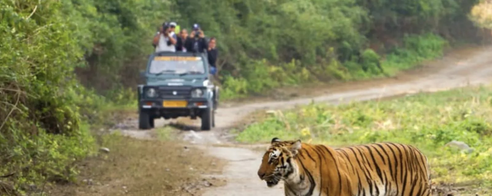 Jim Corbett National Park